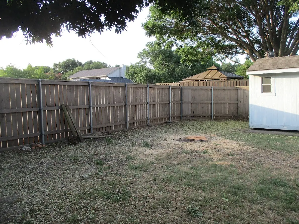 Cleared yard after professional tree removal in Worland